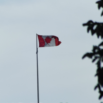 The Canadian flag